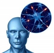 Brain neurological disease risks and Parkinson prognosis
